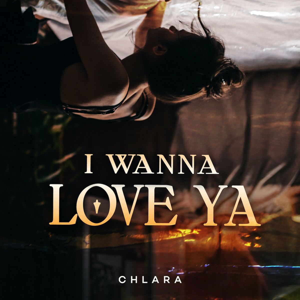 Album cover of I Wanna Love Ya
