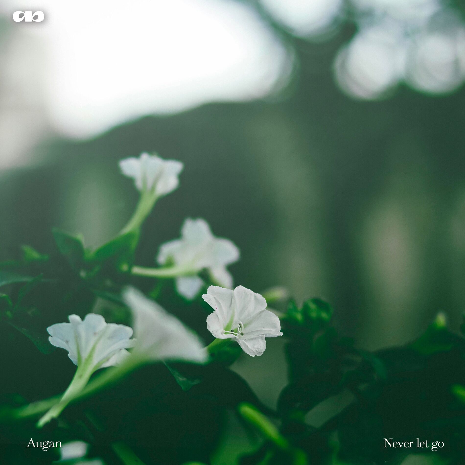 Album cover of Never Let Go
