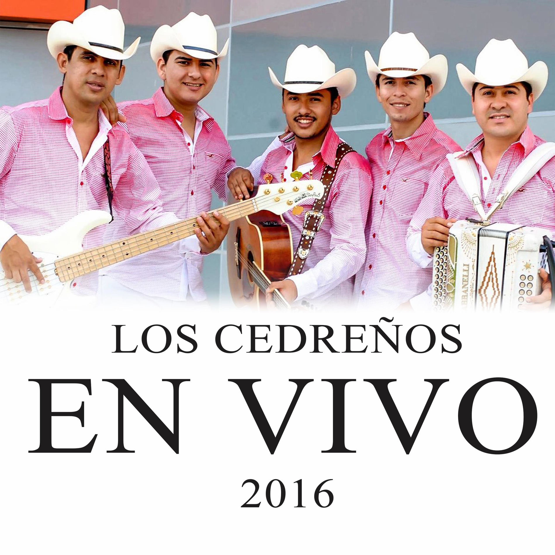 Album cover of Hablare Con Mi Almohada (En vivo)