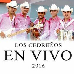 Cover of En Vivo 2016