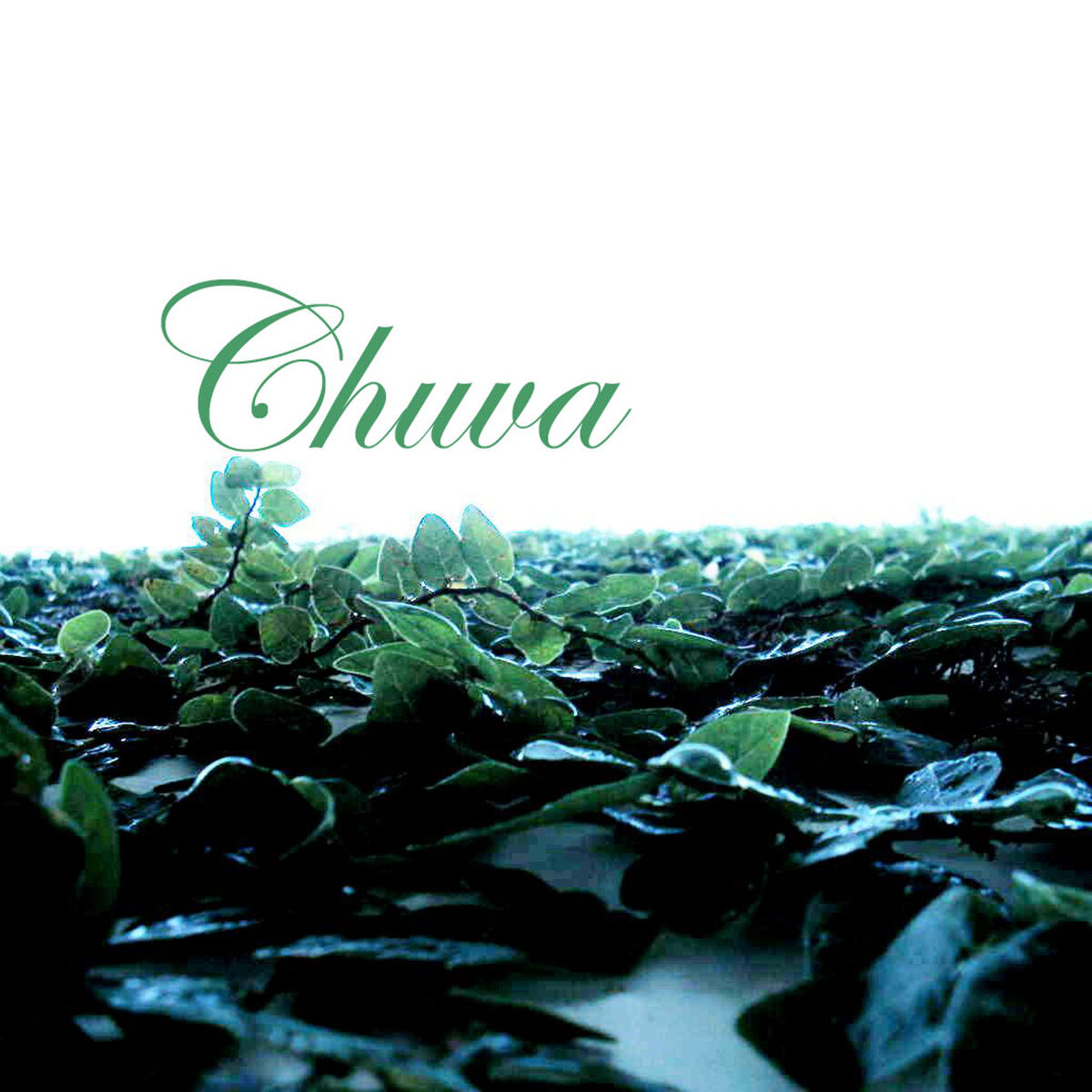 Album cover of 2000Km