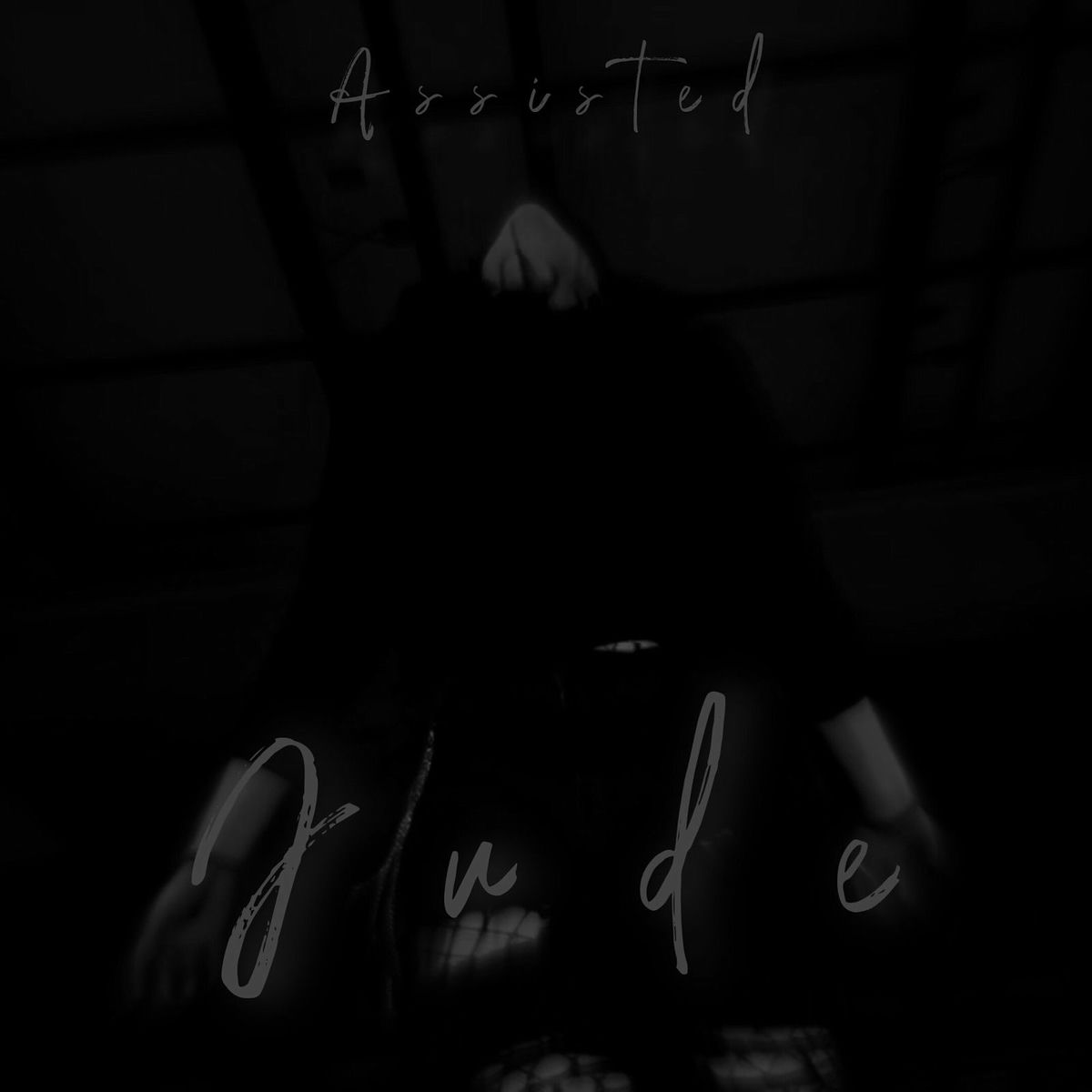 Album cover of Assisted