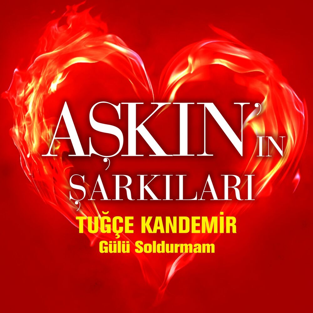 Picture of Gülü Soldurmam (Aşkın'ın Şarkıları)