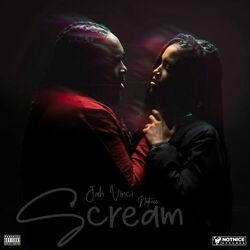 Cover of Scream