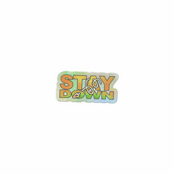 Cover of STAY DOWN
