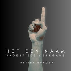 Cover of Net Een Naam (Akoestiese Weergawe)