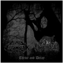 Cover of Thrive and Decay