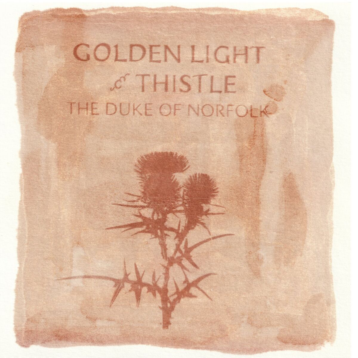 Album cover of Wild Mountain Thyme