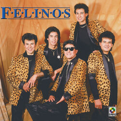 Cover of Felinos