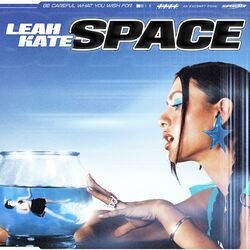 Cover of Space
