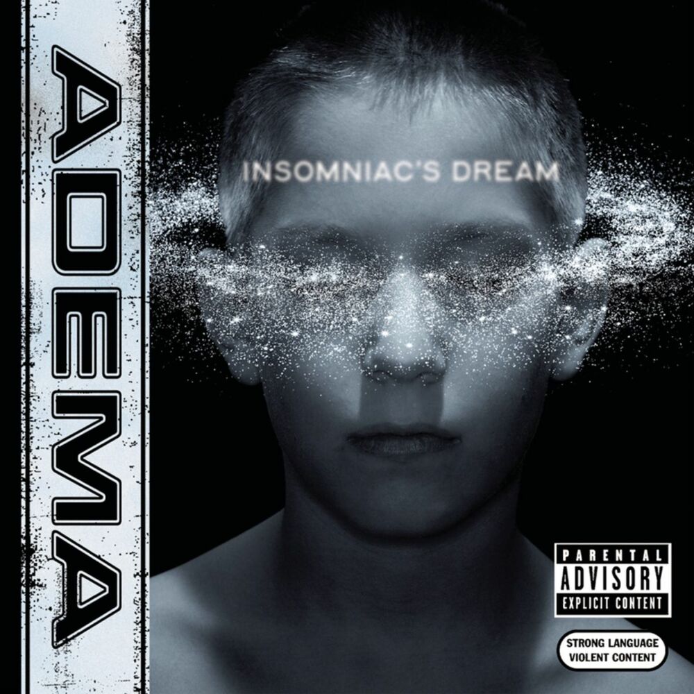 Picture of Insomniac's Dream