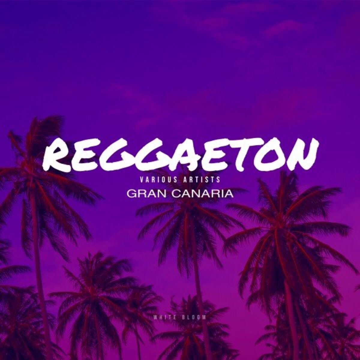 Album cover of Reggaeton Gran Canaria
