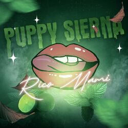 Cover of Rico Mami