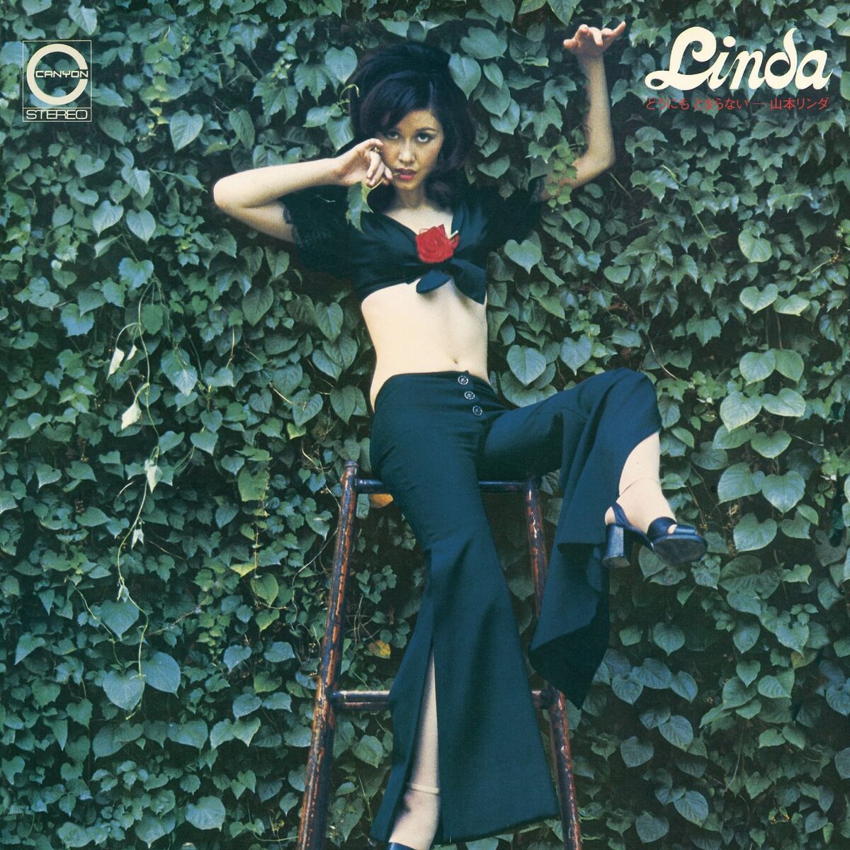 Yamamoto Linda: albums, songs, concerts | Deezer Yamamoto Linda: albums, songs, concerts | Deezer