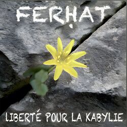 Cover of LIBERTE POUR LA KABYLIE