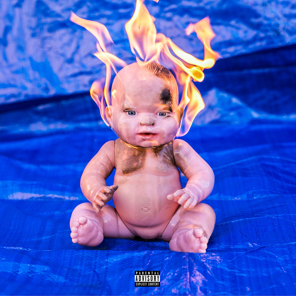 Picture of Caught in the Fire