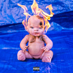 Cover of Caught in the Fire