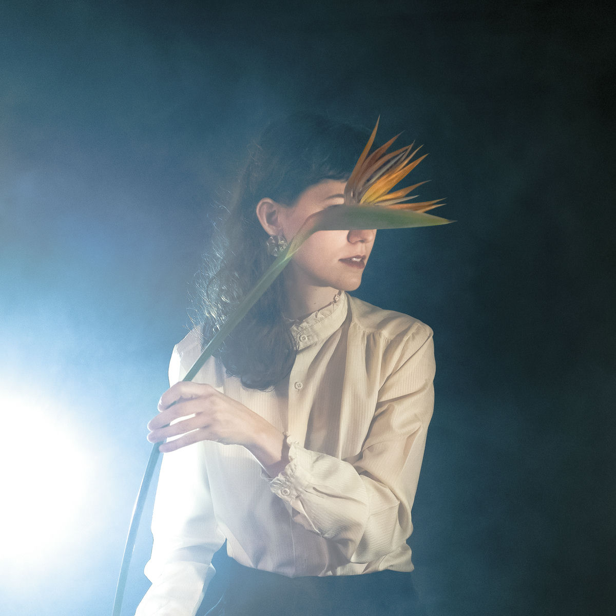 Album cover of Les Oiseaux de Paradis