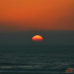 Cover of sunisgone