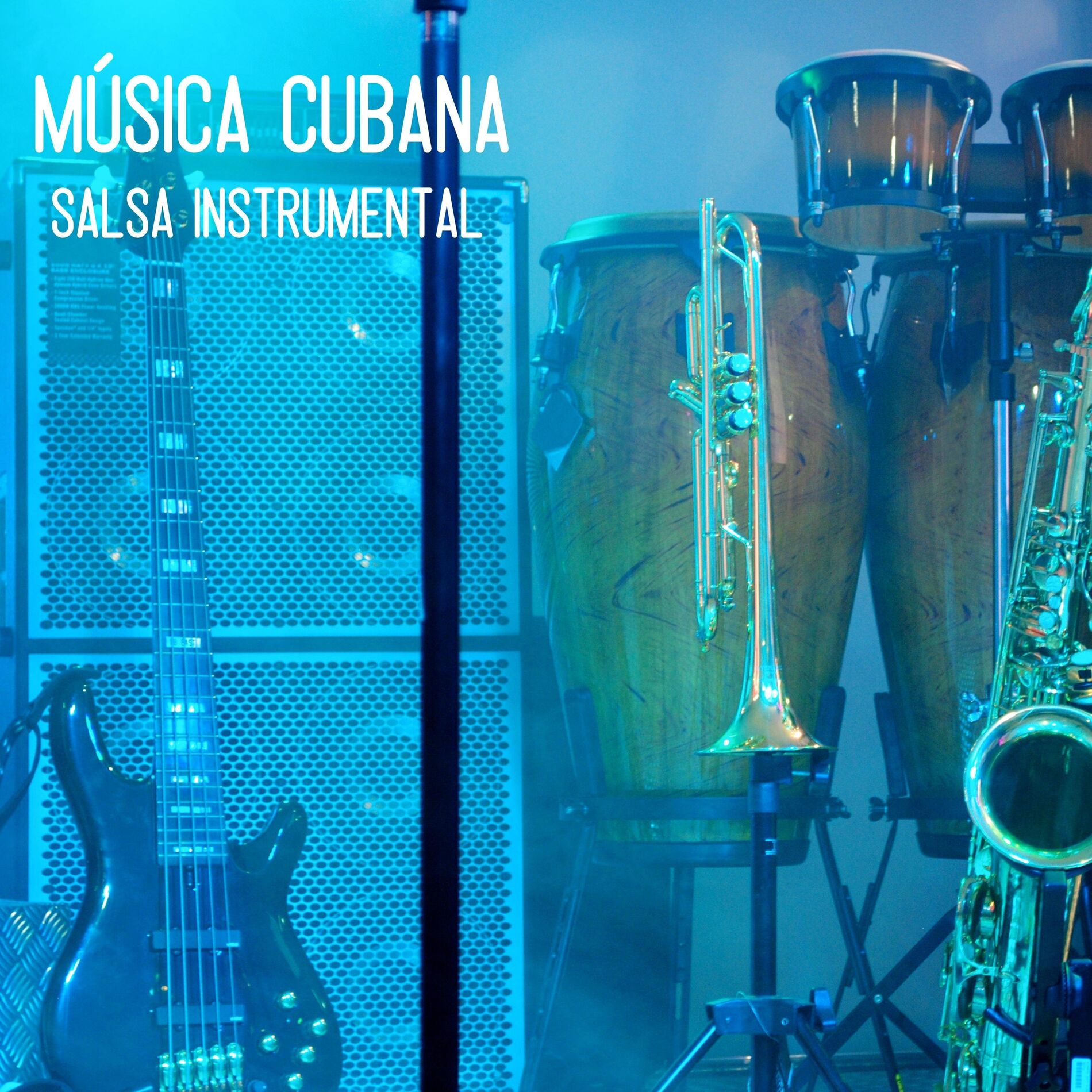 Album cover of Salsa Instrumental