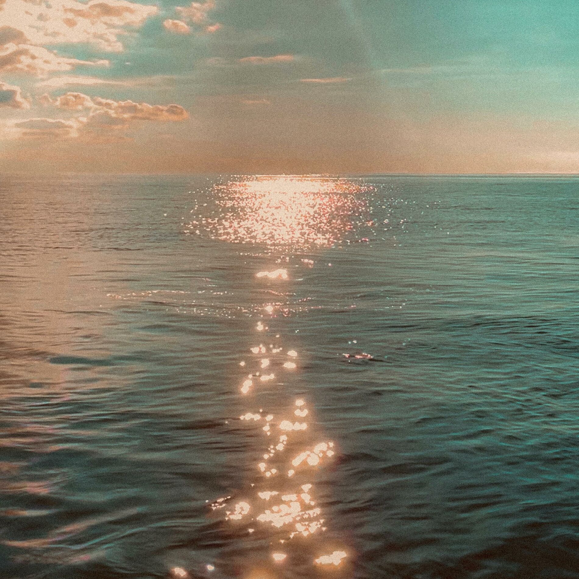 Album cover of After Summer
