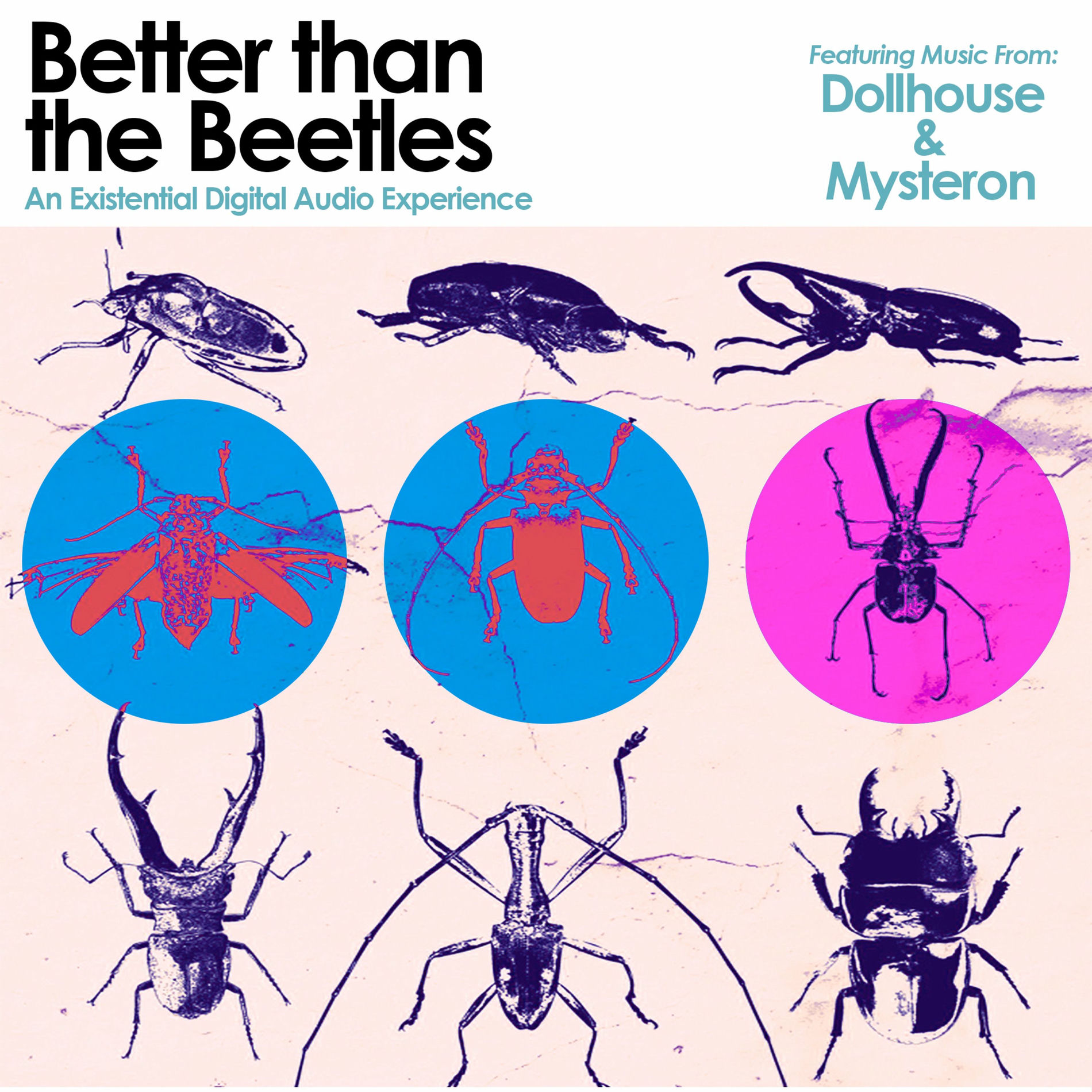 Album cover of Better Than the Beetles