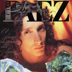 Cover of El Amor Después del Amor