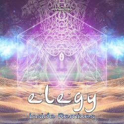 Cover of Inside (Remixes)