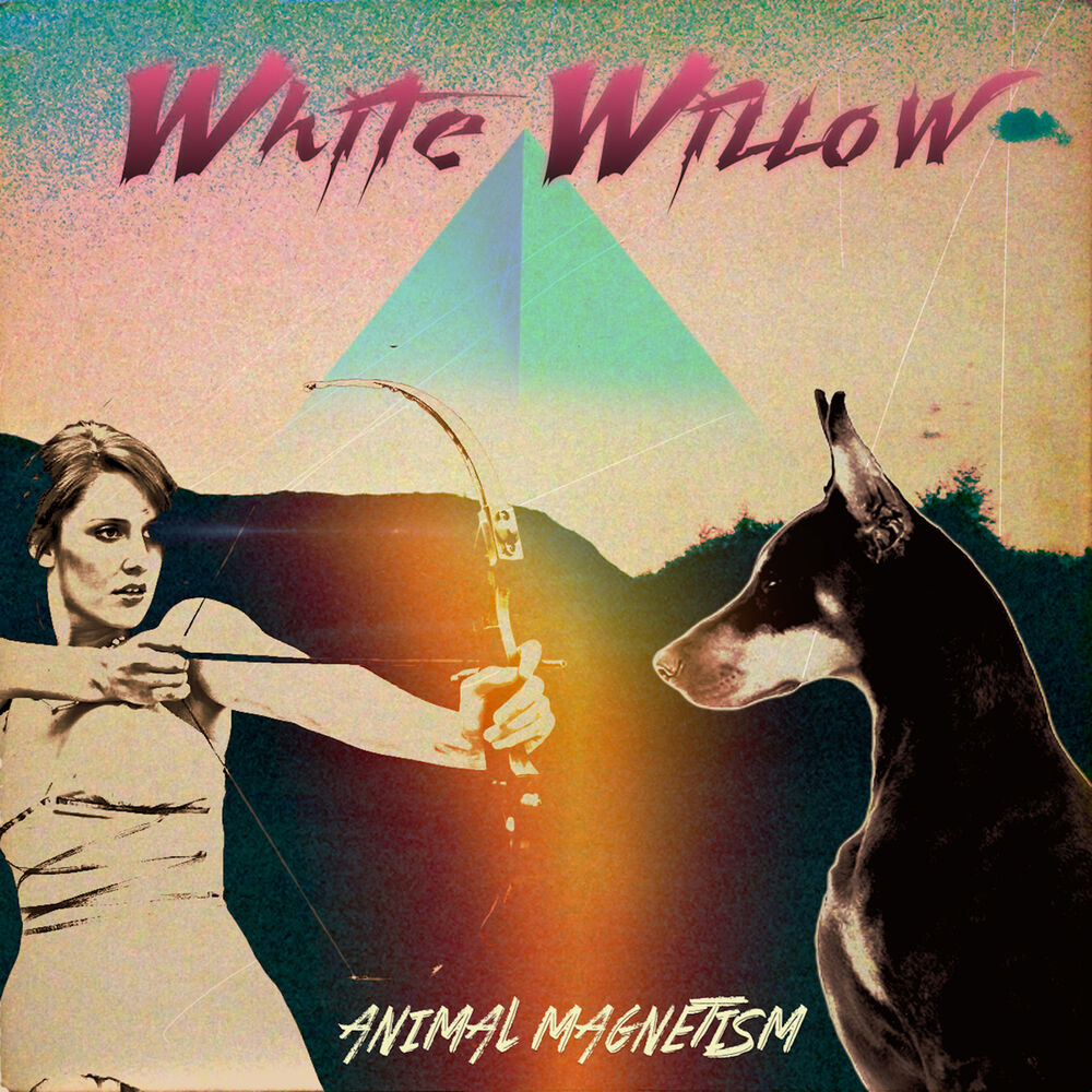 Picture of Animal Magnetism