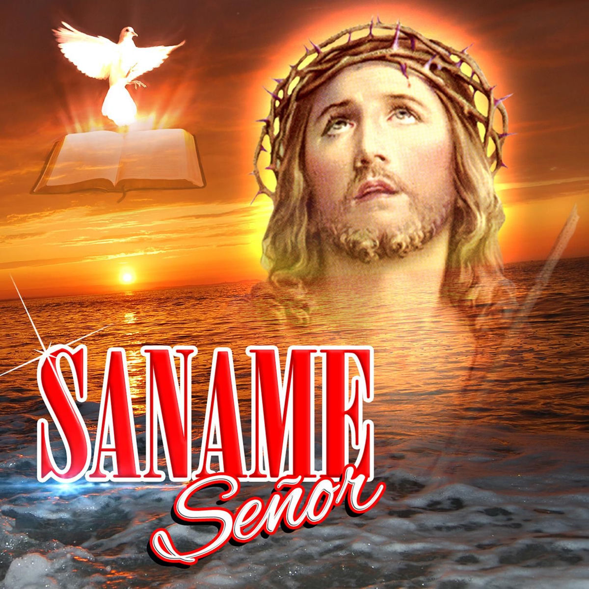 Album cover of Entre Tus Manos