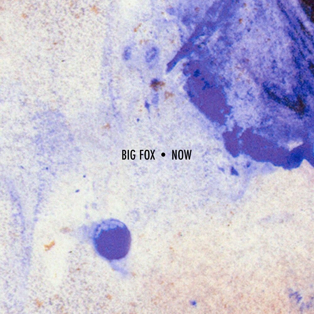 Picture of Now