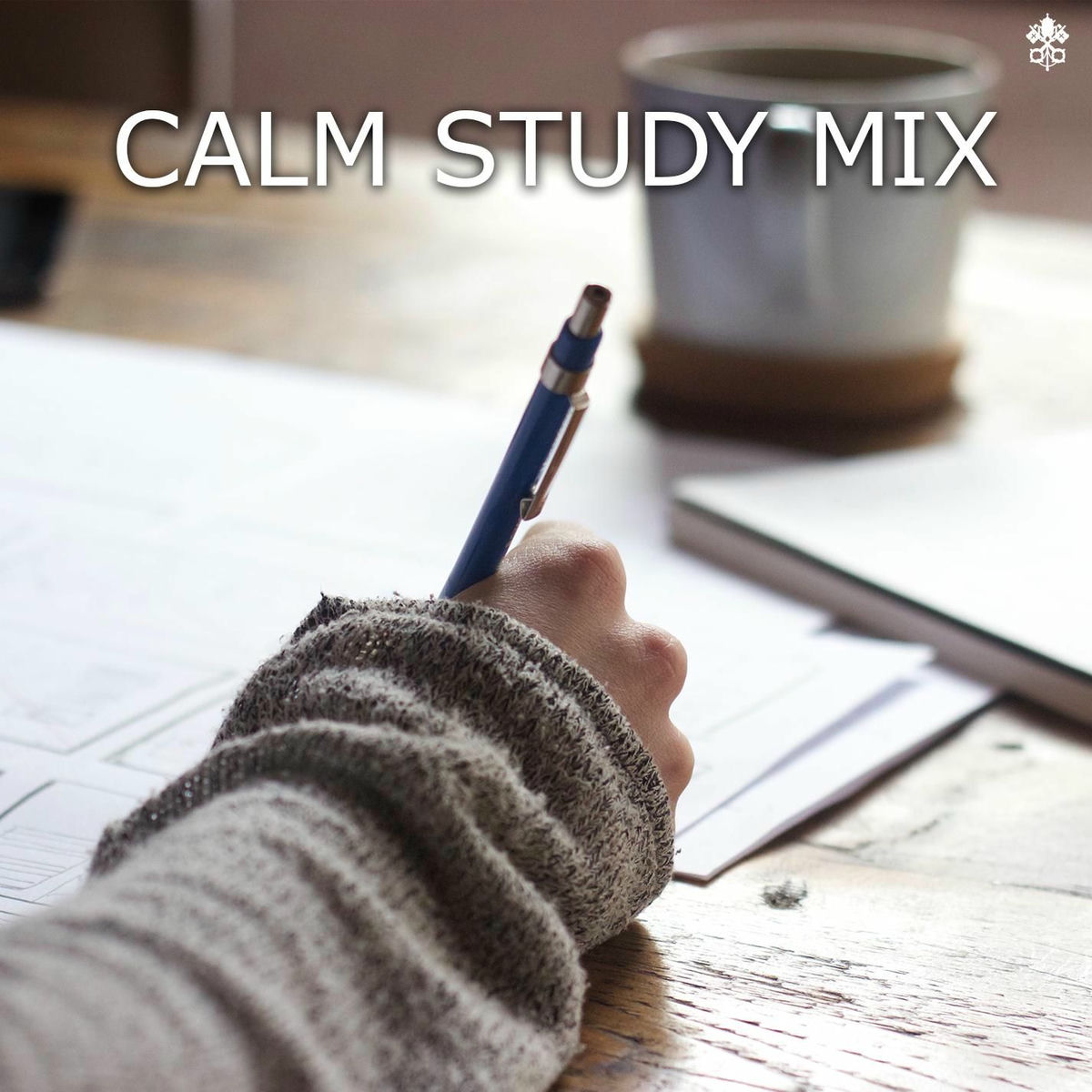 Album cover of Calm Study Mix