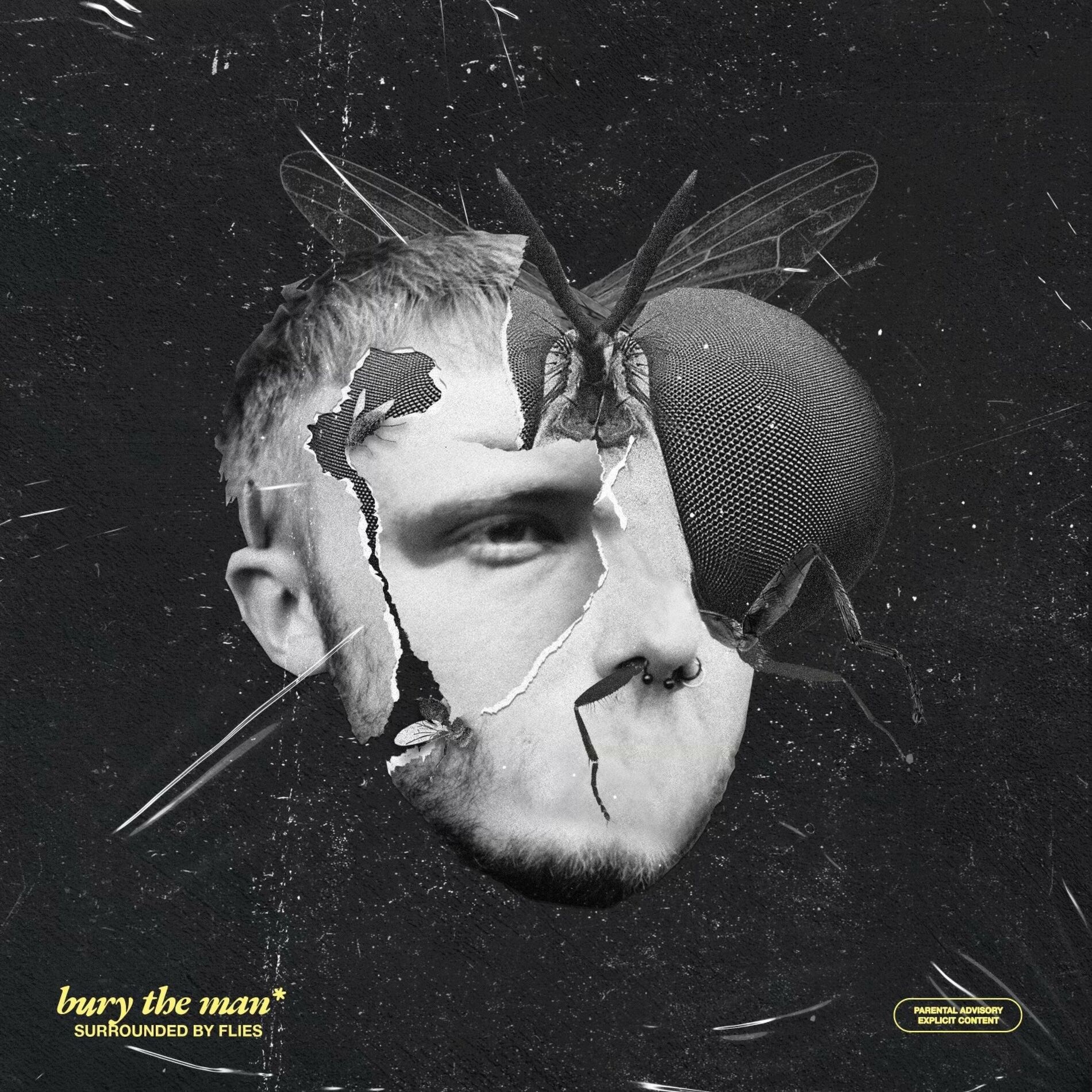 Album cover of Masking Flaws Facing Traffic