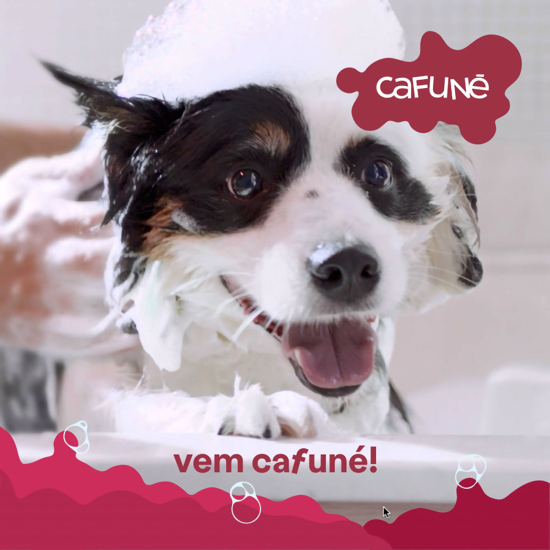 Album cover of Vem Cafuné!