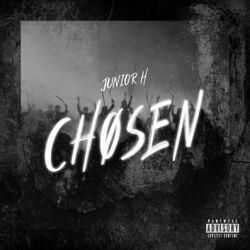 Cover of Chosen
