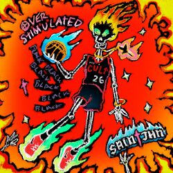 Cover of Overstimulated