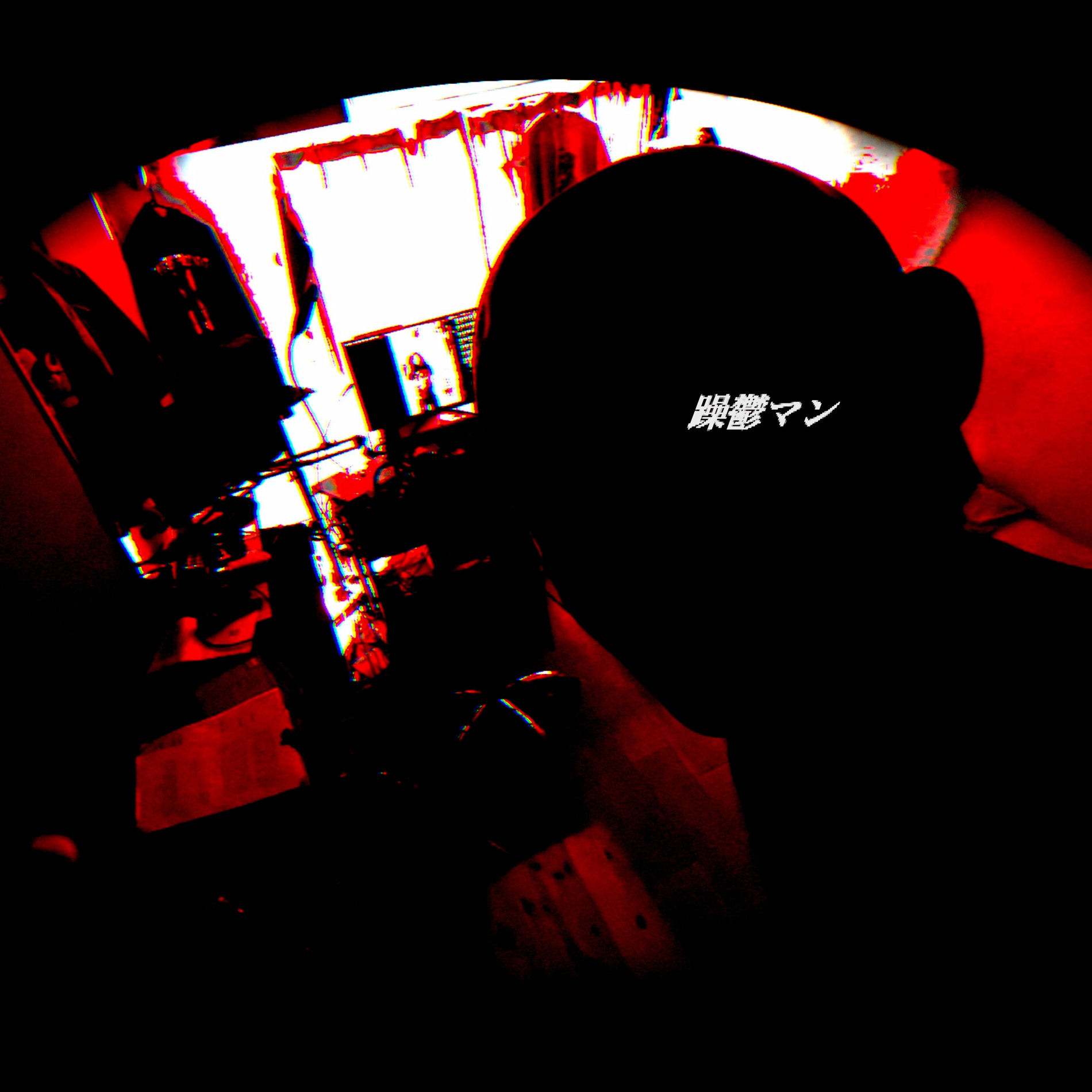 Album cover of Mr. Bipolar