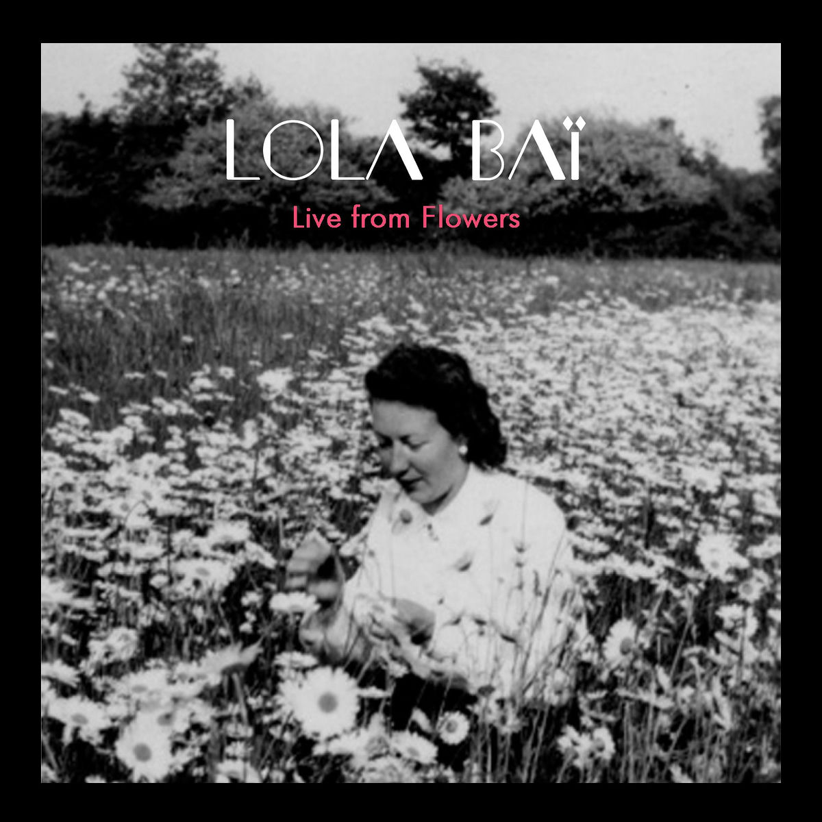 Album cover of Live from Flowers