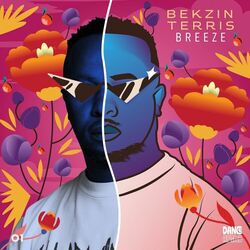Cover of Breeze