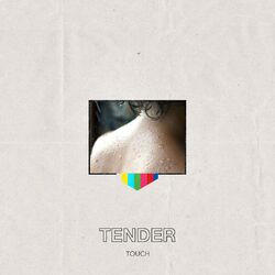 Cover of Touch