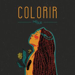 Cover of Colorir
