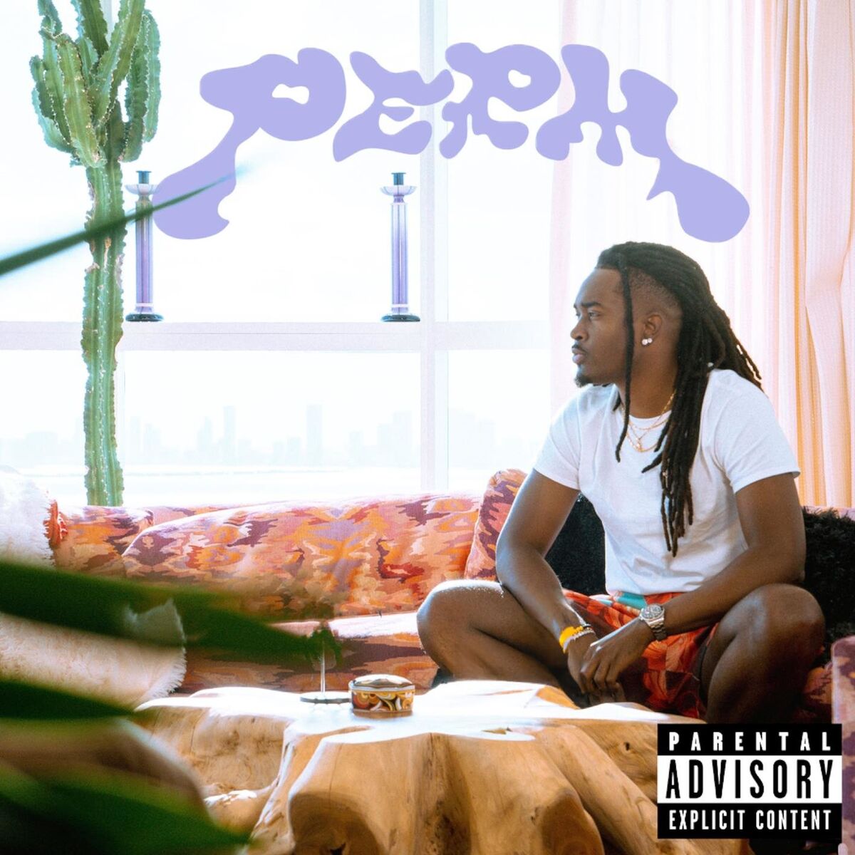 Album cover of PERM