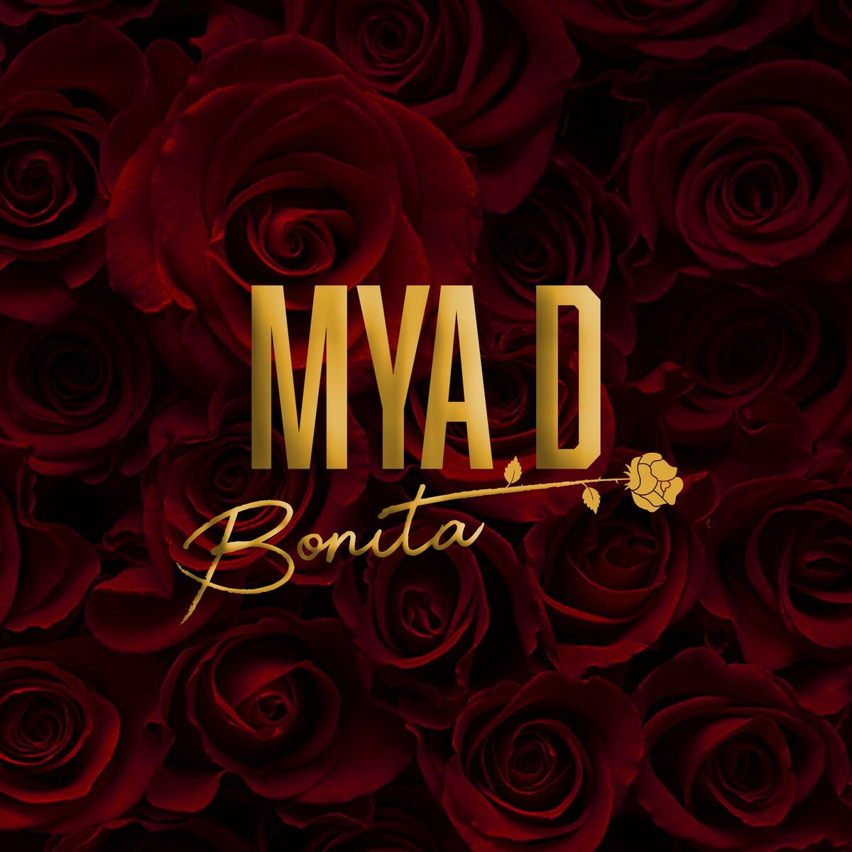 Album cover of Bonita