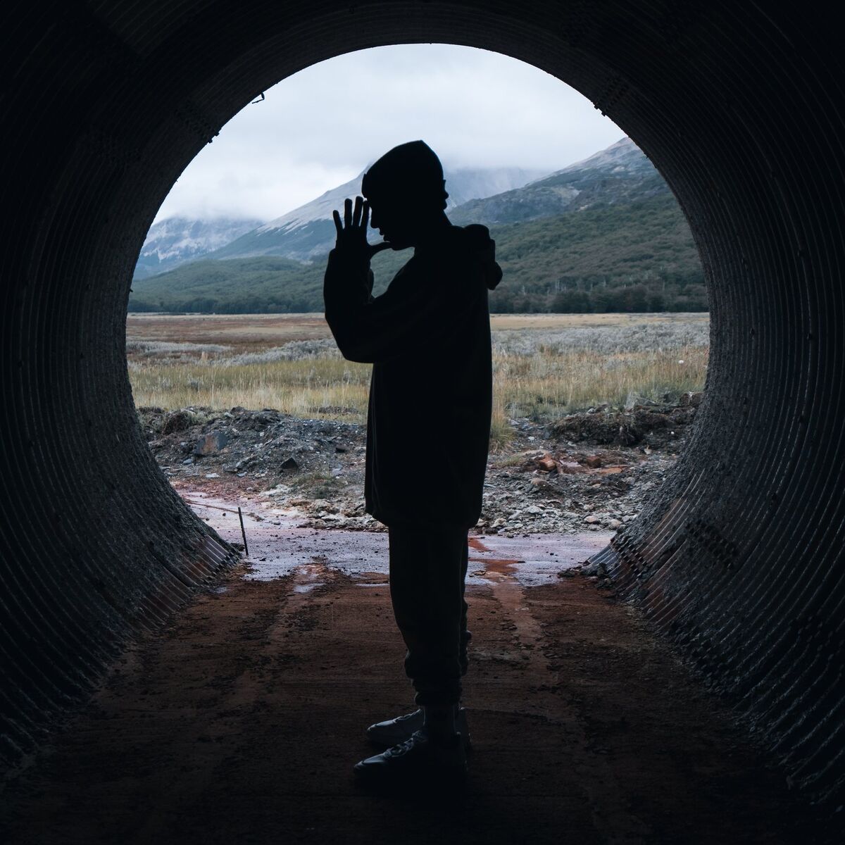 Album cover of DHARMA