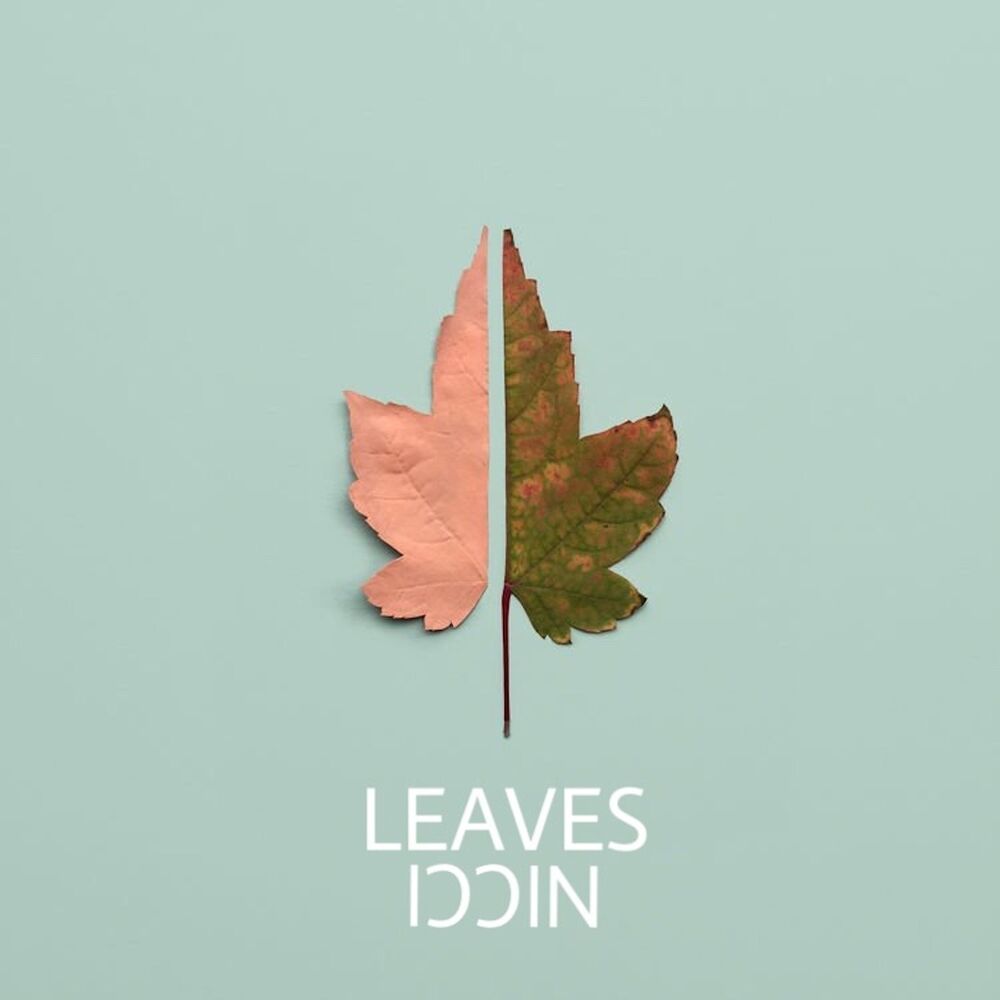 Picture of Leaves