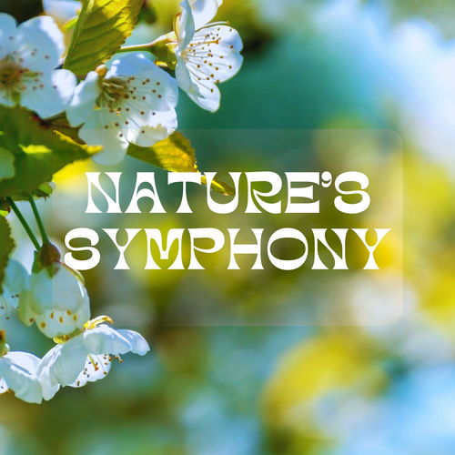 Picture of Nature's Symphony: Relaxing Sounds of Rain, Thunder, Birds and Ocean ...