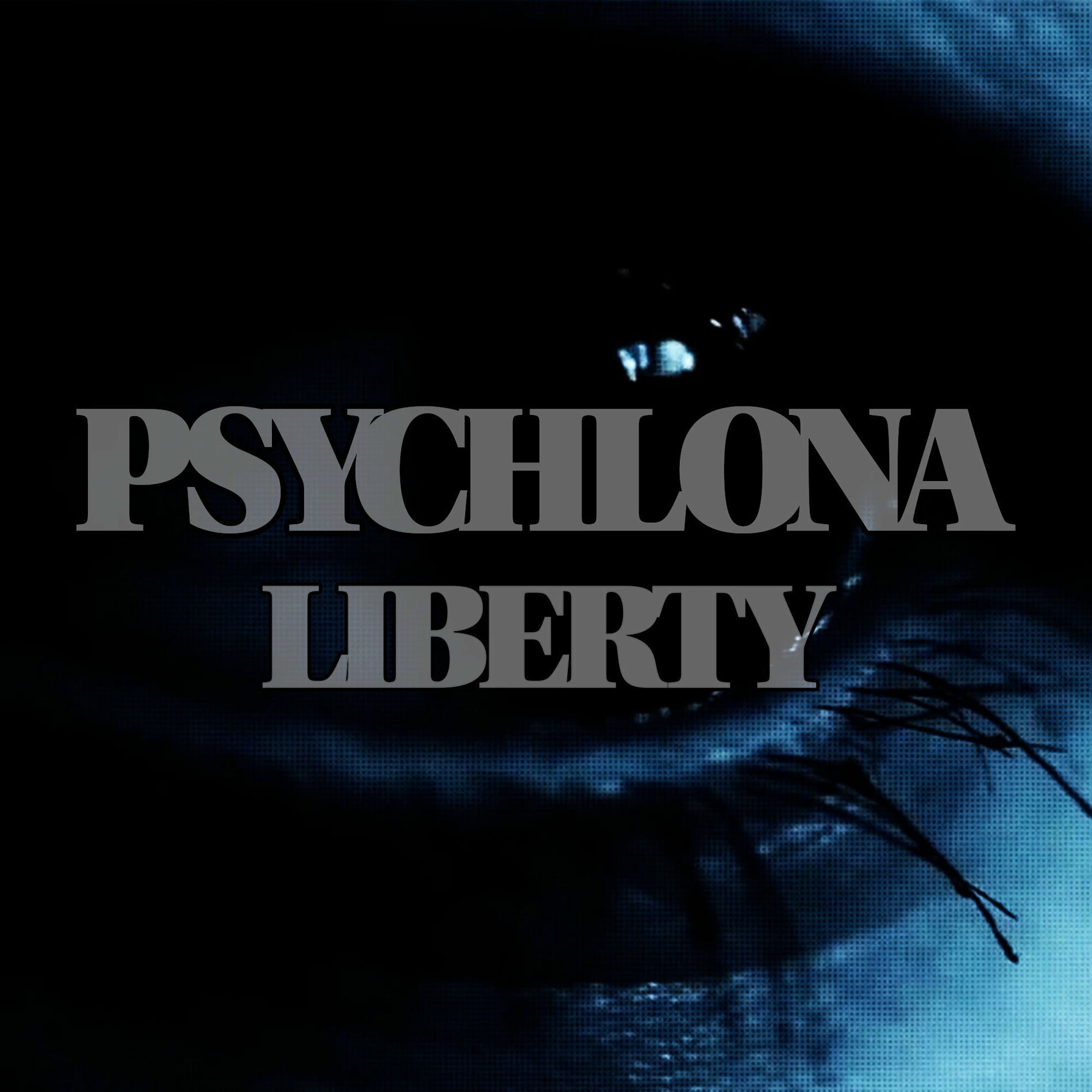 Album cover of Liberty