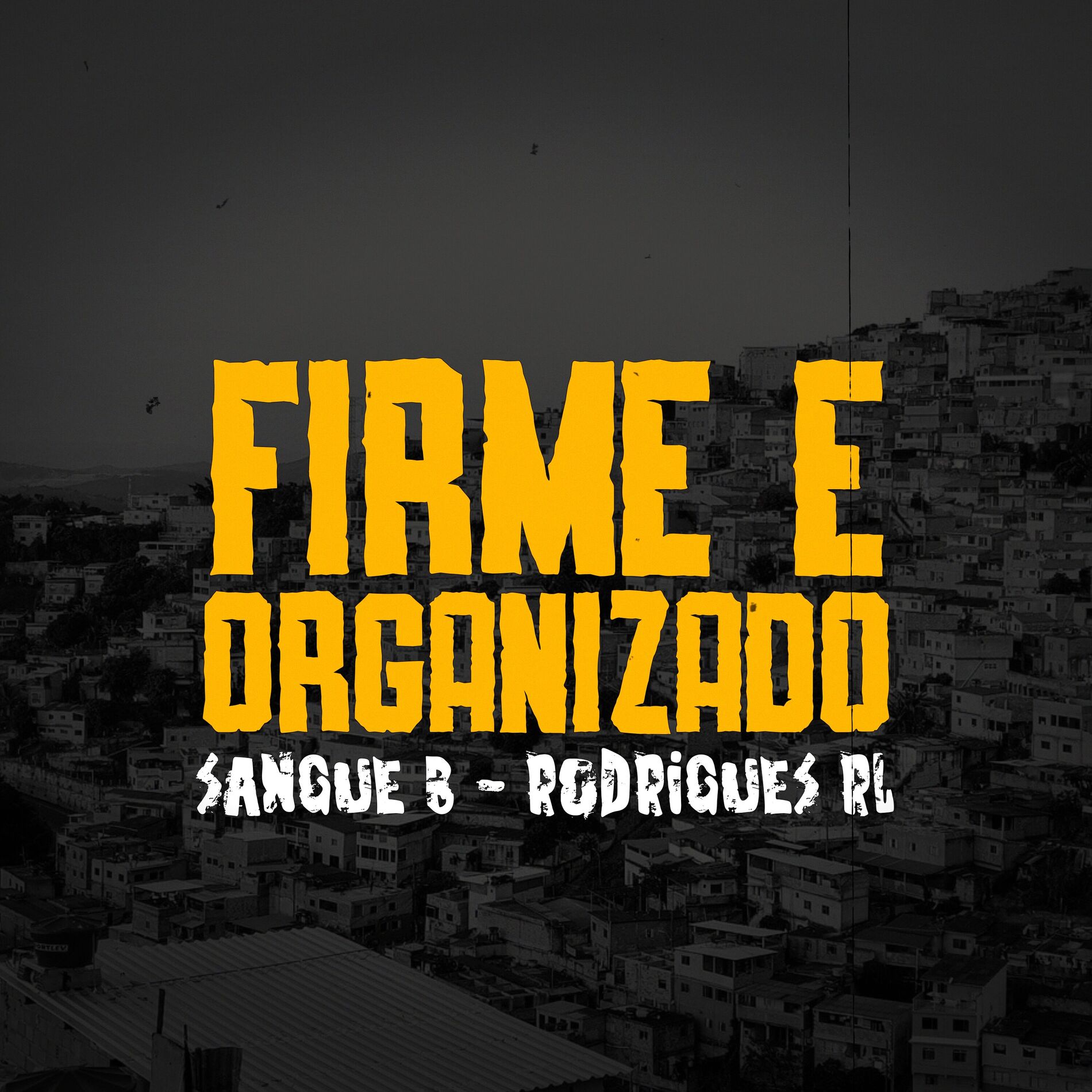Album cover of Firme e Organizado
