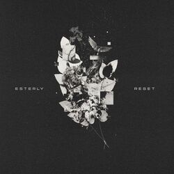 Cover of Reset