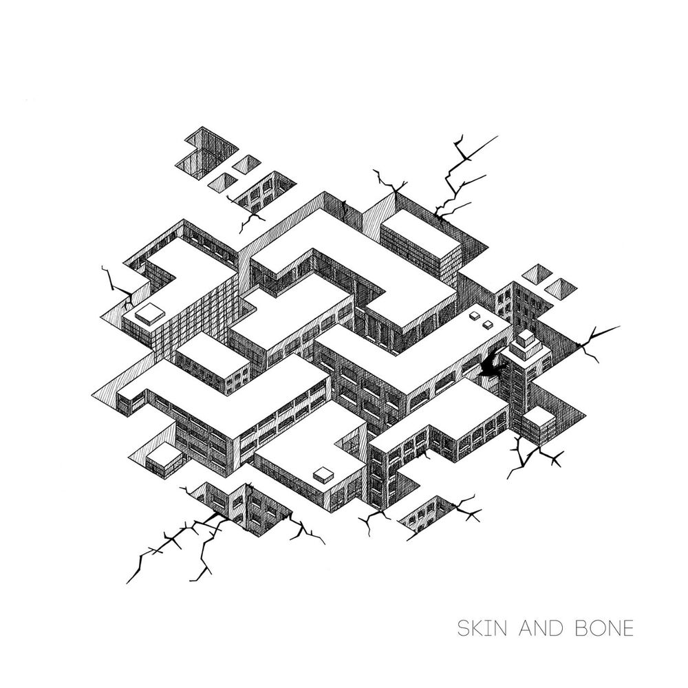 Picture of Skin and Bone